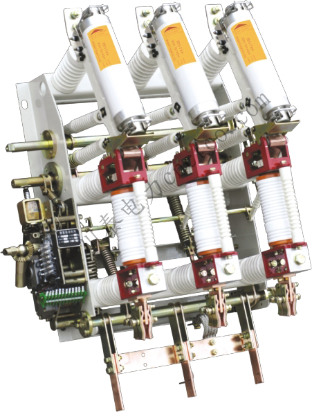 FZ(R)N21-12(D)/T630-20系列户内高压真空负荷开关